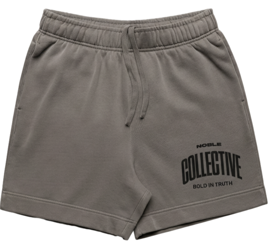 NOBLE COLLECTIVE TEAM RELAX FADED SHORTS